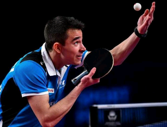 看到了网球 看到了网球