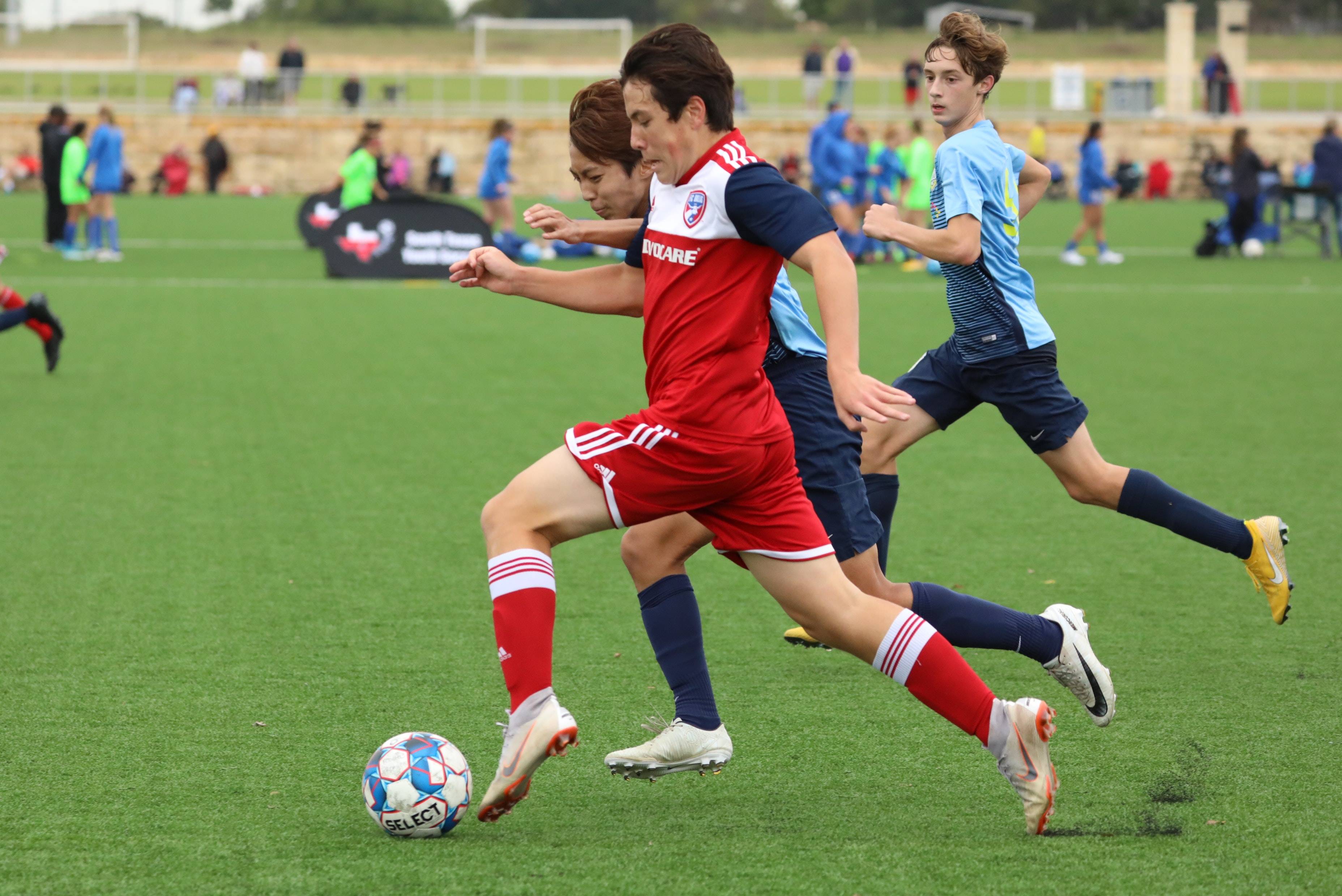 案例分析 案例分析