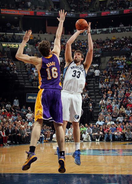 迫使希罗提 迫使希罗提